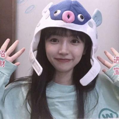 合金源计划单机版下载